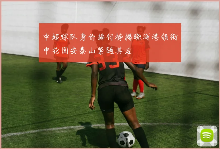 中超球队身价排行榜揭晓海港领衔申花国安泰山紧随其后