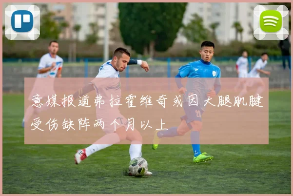 意媒报道弗拉霍维奇或因大腿肌腱受伤缺阵两个月以上