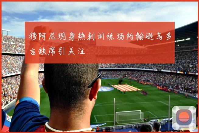 穆阿尼现身热刺训练场约翰逊乌多吉缺席引关注